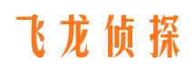 庄浪飞龙私家侦探公司